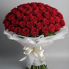 Букет 101 Красная роза Блэк Мэджик #REPLACE_PRED# Мотыгино