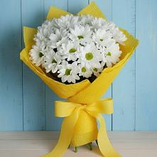 Букет цветов из:  Хризантемы #REPLACE_PRED# Мотыгино