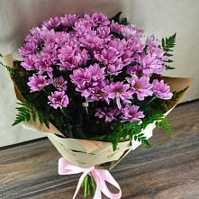 Букет цветов из:  Хризантемы #REPLACE_PRED# Мотыгино