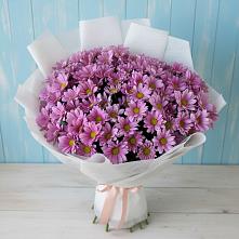 Букет цветов из:  Хризантемы в Мотыгино