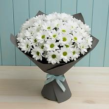 Букет цветов из:  Хризантемы в Мотыгино
