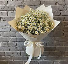 Букет цветов из:  Ромашки в Мотыгино