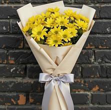 Букет цветов из:  Хризантемы в Мотыгино