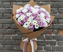 Букет цветов из:  Хризантемы #REPLACE_PRED# Мотыгино