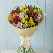 Букет цветов из:  Альстромерии в Мотыгино