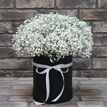 Цветочная композиция из Гипсофила в шляпной коробке в Мотыгино