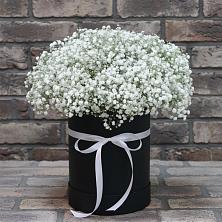 Цветочная композиция из Гипсофила в шляпной коробке в Мотыгино