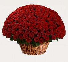 Премиум букет из: Розы в Мотыгино