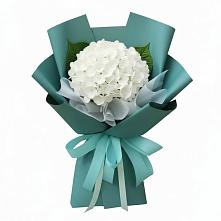 Букет цветов из:  Гортензия #REPLACE_PRED# Мотыгино